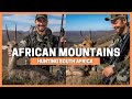 MOUNTAIN HUNTING IN SOUTH AFRICA VAAL RHEBOK MOUNTAIN REEDBUCK SPOT STALK PLAINS GAME RIFLE