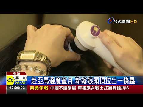 赴亞馬遜度蜜月新嫁娘 頭頂拉出一條蟲