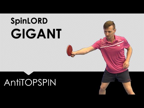 Review Spinlord GIGANT [RED or BLACK rubber?] #openpzts #gdansk