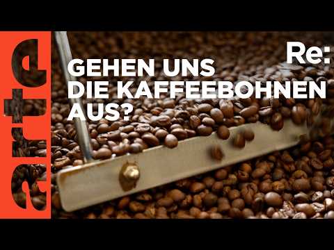 Video Thumbnail: Kaffee mit Zukunft | ARTE Re: