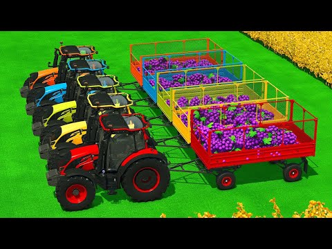 LOAD AND TRANSPORT GRAPES WITH VALTRA TRACTORS - Farming Simulator 25 🍇🚜