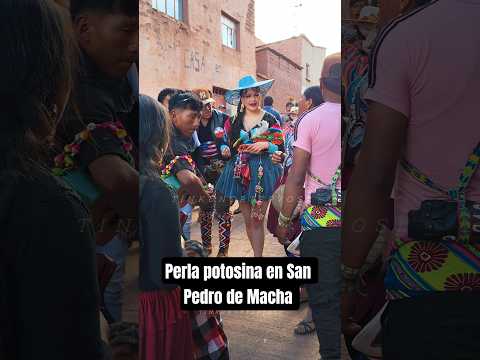 perla potosina en San Pedro de Macha #tinku