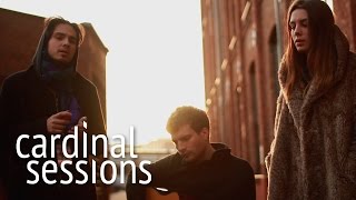 Wolf Alice - Fluffy - CARDINAL SESSIONS