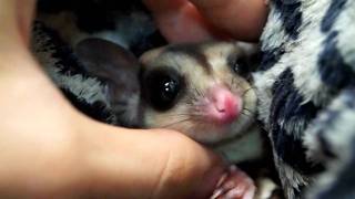 If you're nice, she'll lick your thumb.