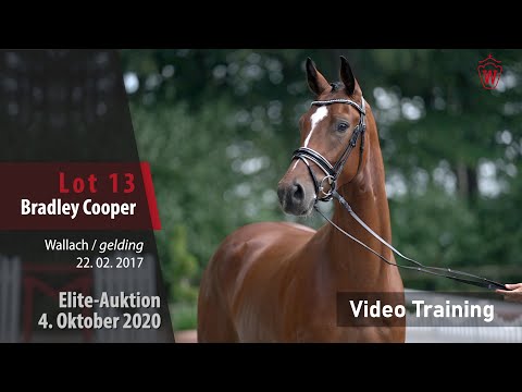 Elite-Auktion 4. Oktober 2020 Lot 13 Bradley Cooper v. Bon Coeur/Rohdiamant  – Trainingsvideo