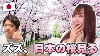 台湾人ズズに日本の桜を見せたら、大感激だった