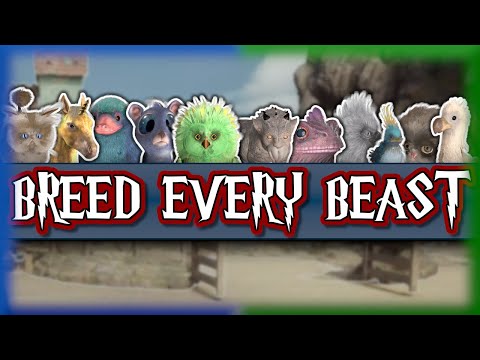 Hogwarts Legacy - THE NATURE OF THE BEAST Achievement/Trophy