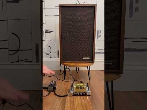 1977 Realistic Minimus-10 8" Guitar Cabinet • 8Ω • 20W Est. image 5