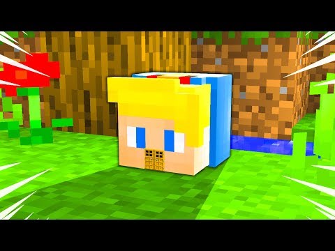 Sbriser vs Dolcetta BATTAGLIA Case PICCOLISSIME su Minecraft!!!