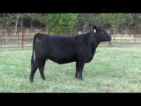 Listing 31788395758-video