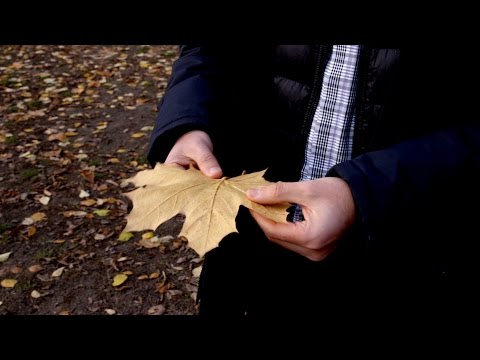 Das Prinzip der hedonistischen Tretmühle verhindert dein Glück