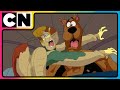 Scooby And The Squad S Clever Capture Scooby Doo Compilation 90 S Cartoon Cnindia