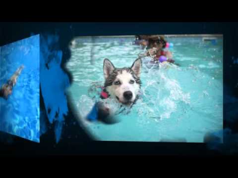 download lagu mp3 mp4 Pool Wholesale Warehouse, download lagu Pool Wholesale Warehouse gratis, unduh video klip Pool Wholesale Warehouse