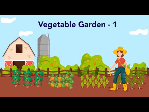 white har jr c-5 || vegetable garden 1 || learn coding