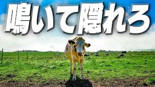 【５人】カオス過ぎる動物鳴きマネかくれんぼゲーム『Moo Who?』