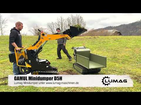 Multi-truck Lumag MT-250 - Image 2