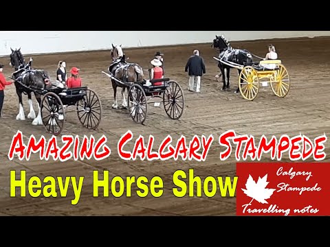 download lagu mp3 mp4 Calgary Horse Show, download lagu Calgary Horse Show gratis, unduh video klip Calgary Horse Show
