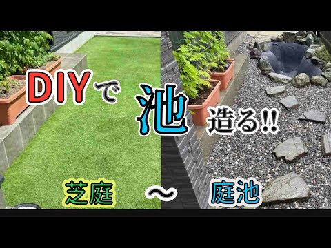 carpes koï bassin-poisson-original-parallélépipède-surélevé-verre