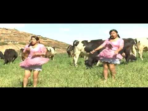 Las Roba Corazones  ( Una Cerveza ) HD 2012