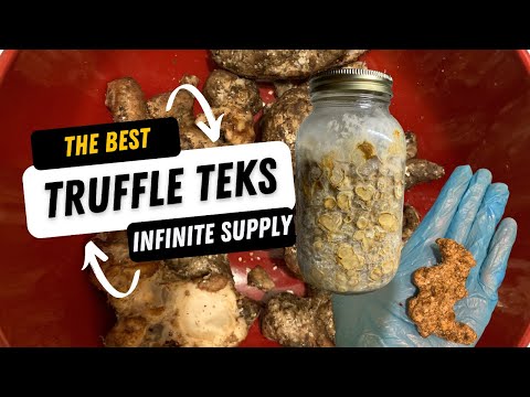 🍄 How To Make Infinite Truffles: The Best Truffle TEKs (Edible Mycology with Sage!) 🍄