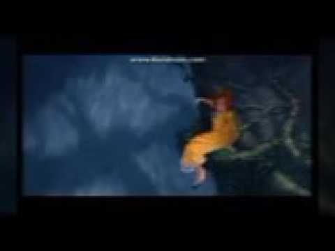 Banda love bis pega no cipó