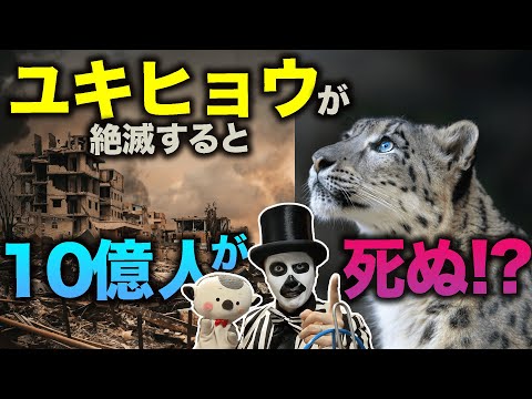 なぜユキヒョウは絶滅の危機に瀕しているのでしょうか?