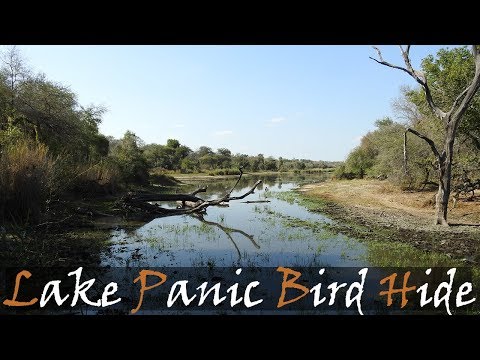 Lake Panic Bird Hide Video From The Kruger National Park - Kruger Hides | Stories Of The Kruger