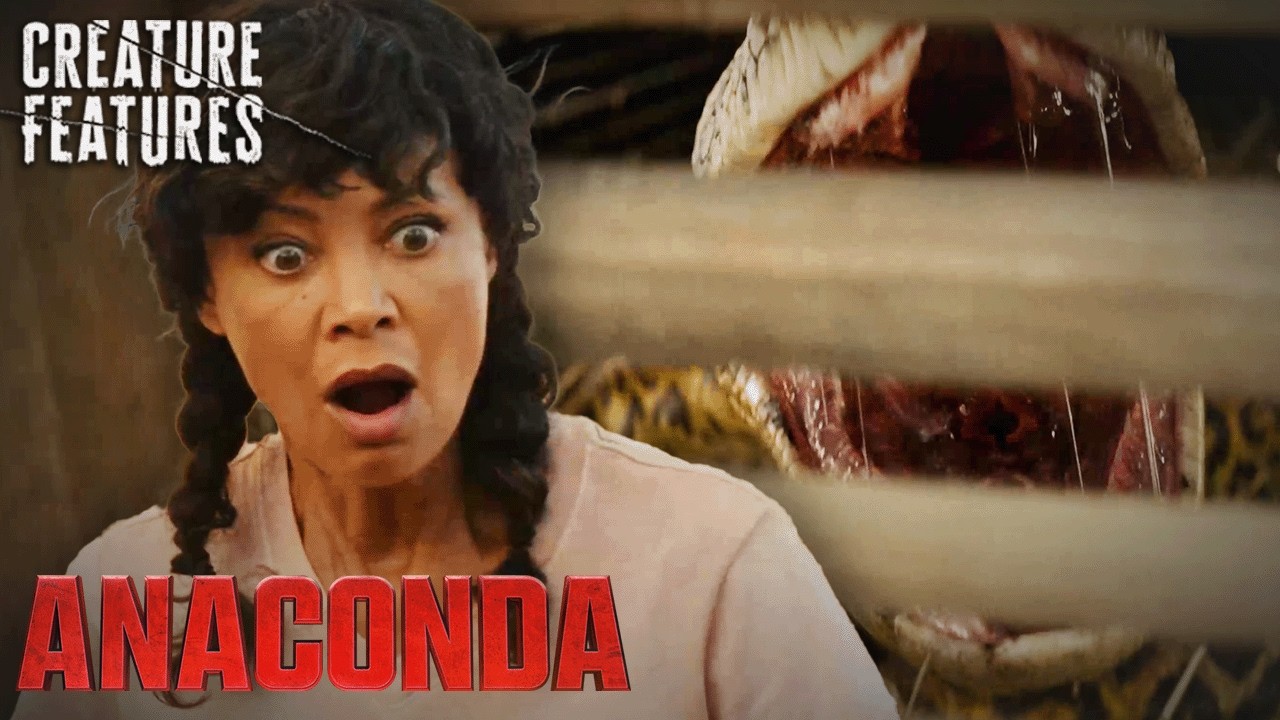Anaconda — Meeting The Snake Handler