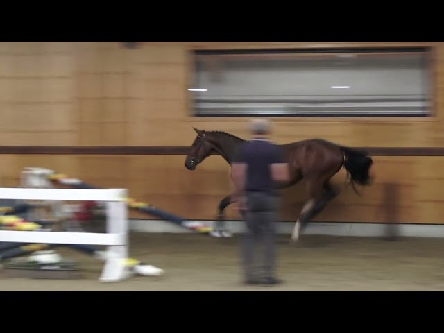 jumping