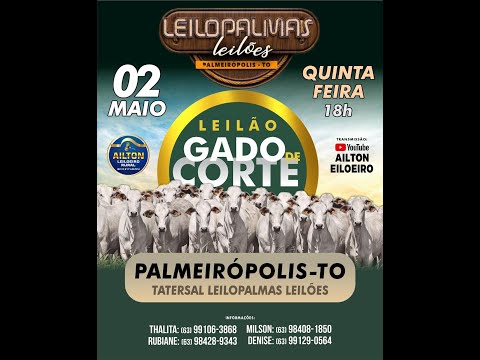 LEILÃO LEILOPALMAS LEILÕES PALMEIRÓPOLIS TO. 02/05/2024