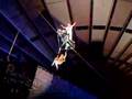 Circus 26