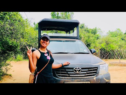 Vacation @ Tribe Yala 🌳