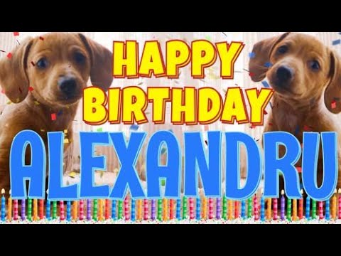 Happy Birthday Alexandru! ( Funny Talking Dogs ) What Is Free On My Birthday