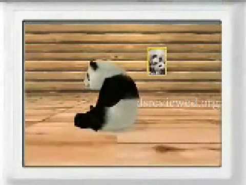 National Geographic Panda Nintendo DS