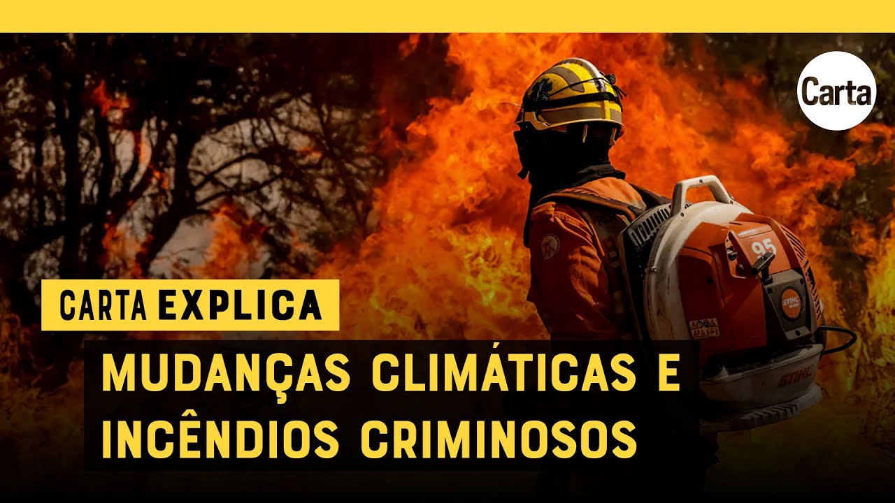 O que está causando seca na Amazônia e queimadas em São Paulo? | Carta Explica