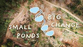 #12 BIG CHANGES TO OUR LAND - New DIY Ponds and a Whole Lot of Trees!