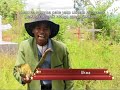 Madosa Sanga Ukhuwi Luta Ukwa Official Music Video