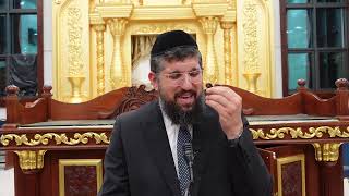 מחזק, בין אדם לחבירו | זרע שמשון | פרשת אמור תשפ"ה | הרב אליהו עמר (הרב אליהו עמר) - התמונה מוצגת ישירות מתוך אתר האינטרנט יוטיוב. זכויות היוצרים בתמונה שייכות ליוצרה. קישור קרדיט למקור התוכן נמצא בתוך דף הסרטון