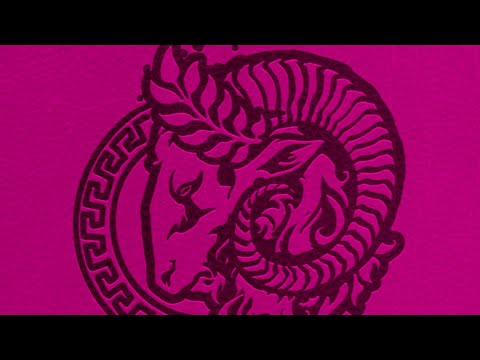 DSA Durchgeblättert Folge 265 - Levthan-Vademecum