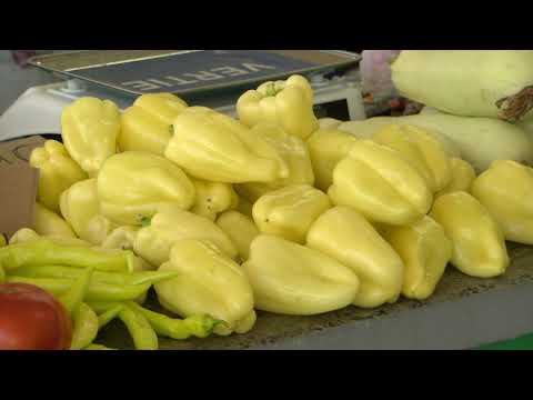 VIJESTI OSJEČKE TELEVIZIJE 28.07.2021.