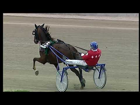 Napoli Trotto 19/03/2021 - 1ª corsa