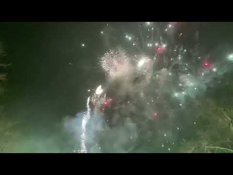 Surex - Fall Out Zone 100 shots Display Box