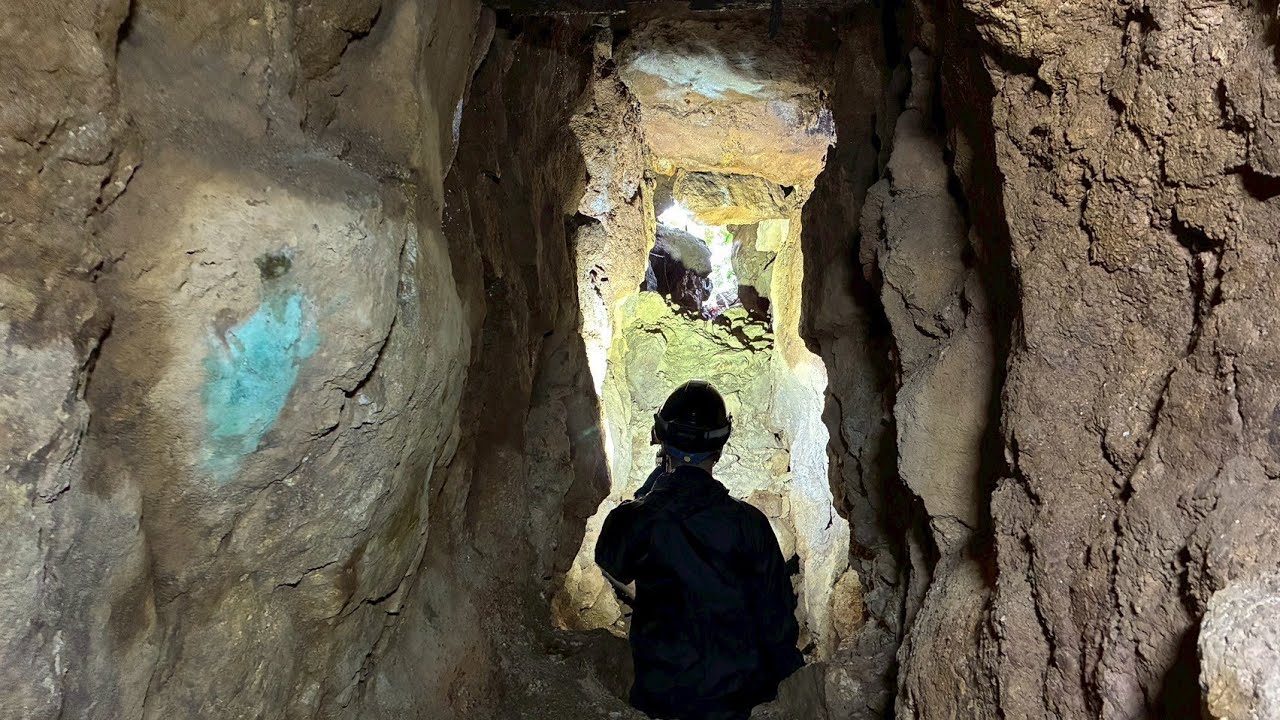 穴の中で熊に遭遇しました…