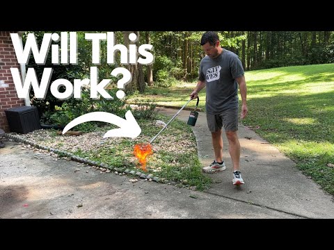 I Tried The Easiest DIY Weed Killer. Flame King Torch Review!
