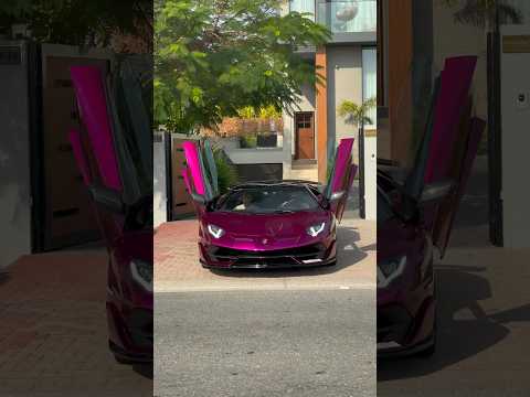 Lamborghini Aventador SVJ Roadster 💜