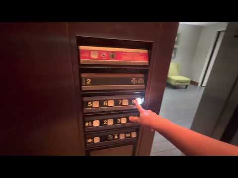 Low on Oil! 8 Floor Dover Hydraulic Elevators