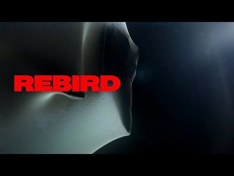 Rebird | A Polynoid Film