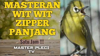 Download lagu MASTERAN WIT WIT ZIPPER PANJANG  [[ BIKIN PLECI NEMBAK NGESAP FULL POWER ]] mp3