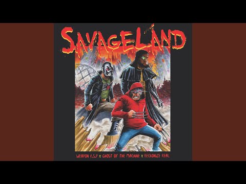 Bruce Lee Wit The Scratches