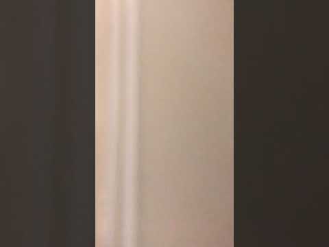 2/128 Victoria Street, Potts Point, NSW 2011, 0房, 1浴, Studio